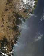 Incendios en Nueva Gales del Sur, Australia