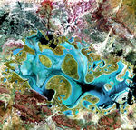 Lago Carnegie, Australia occidental