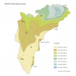 Precipitación media anual en la Provincia de Alicante