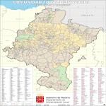 Municipios y Concejos de Navarra 2002