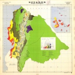 Imagen mosaico de los incendios en Indonesia