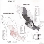 Deforestación en Bolivia