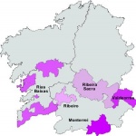 Mapa de Vinos de Galicia 2007