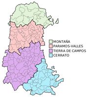 Comarcas administrativas de la Provincia de Palencia 2010