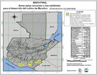 Áreas aptas para el cultivo del Marañón en Guatemala