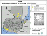 Áreas aptas para el cultivo de la Piña en Guatemala