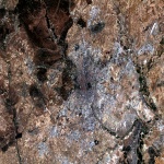 Imagen satelital de Madrid 1984