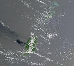 Imagen, Foto Satelite de Grenada