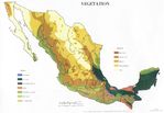 Mapa de Vegetación de México