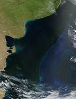 Proliferación de fitoplancton cerca de la costa de Argentina