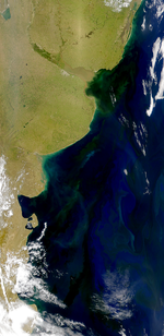 Proliferación marina en área costera de Argentina