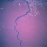 Imagen, Foto Satelite de Rio Xingu, Estado de ParÃ¡, Brasil