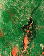 Humedales de la isla de Bananal, río Araguaia y río Xingú, centro de Brasil