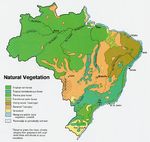 Mapa de la Vegetación Natural de Brasil