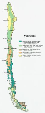 Mapa de Vegetación de Chile