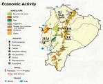 Mapa de Actividad Económica de Ecuador
