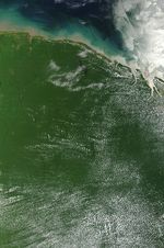 Imagen, Foto Satelite de la Guyana Francesa (Francia)