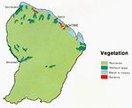 Mapa de Vegetación de Guayana Francesa