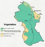 Mapa de Vegetación de la Guyana