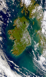 Proliferaciones marinas alrededor de Irlanda