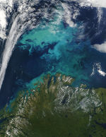 Proliferación de fitoplancton cerca de Noruega