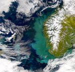 Proliferación marina cerca de Noruega sigue