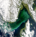 Proliferación de fitoplancton en el Estrecho de Skagerrak