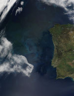 Proliferación de fitoplancton cerca de la costa de Portugal
