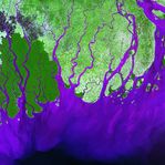 Delta del río Ganges