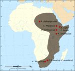 Los australopitecinos (Australopithecina) de África