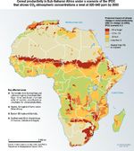 Impactos del cambio climático para la agricultura en África
