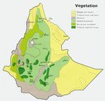 Mapa de Vegetación de Etiopía