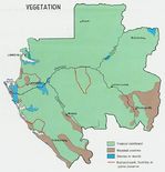 Mapa de Vegetación de Gabón