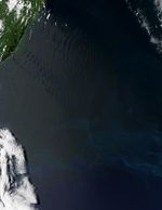 Ondas de gravedad atmosféricas cerca Nueva Zelanda