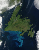 Proliferación de fitoplancton cerca de Terranova, Canadá