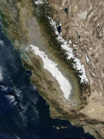 Niebla en California