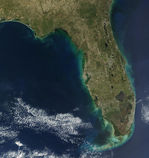 Marea roja a lo largo de la costa oeste de Florida