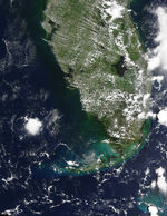 Agua negra cerca de la costa del Golfo en Florida