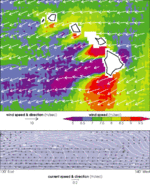 Algas tóxicas cerca de la costa de Noruega