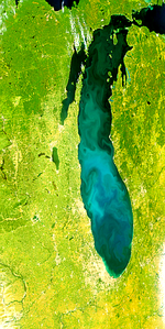 Lago Míchigan en proliferación