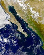 Proliferación de fitoplancton en el Golfo de California