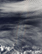Gloria (o anthelion) encima de nubes stratocumulus en el Océano Pacífico