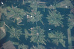Imagen, Foto Satelite del Proyecto Tierras Bajas, Este de Bolivia