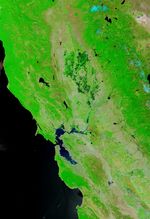 Delta del río de Sacramento/San Joaquínn, California (antes de la ruptura de dique, falso color)